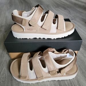 UGG Goldencoast Multistrap Men's Sandal